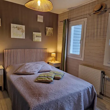 Charming In Transinne