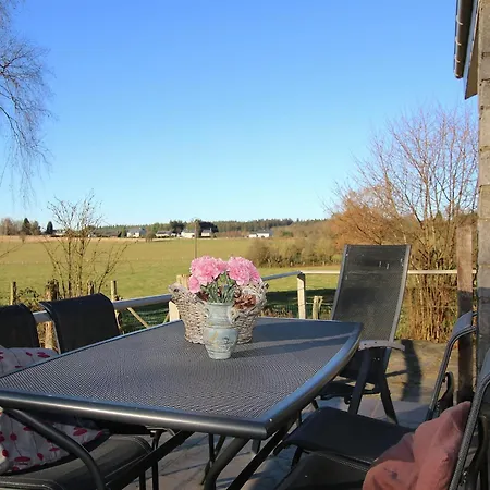 Alpesi faház Charming In Transinne